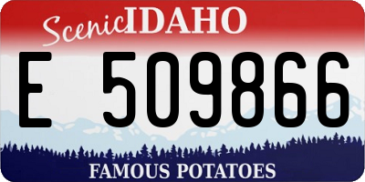 ID license plate E509866