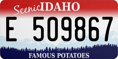 ID license plate E509867