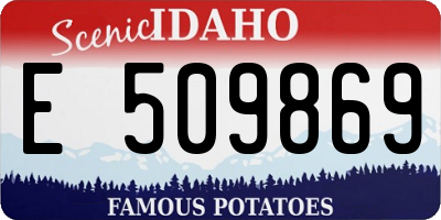 ID license plate E509869
