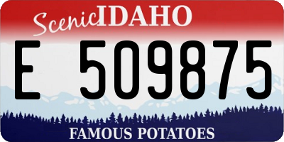 ID license plate E509875