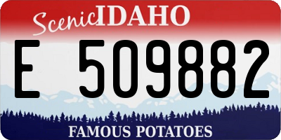 ID license plate E509882