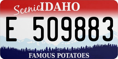 ID license plate E509883