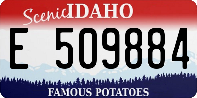 ID license plate E509884