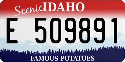 ID license plate E509891