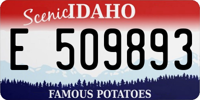 ID license plate E509893