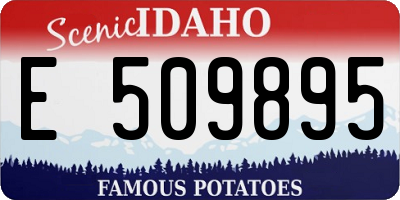 ID license plate E509895