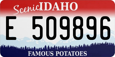 ID license plate E509896