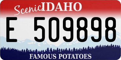 ID license plate E509898