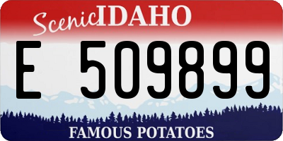 ID license plate E509899