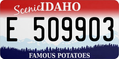 ID license plate E509903
