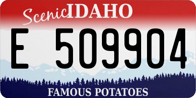 ID license plate E509904