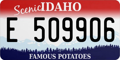 ID license plate E509906