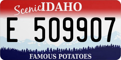 ID license plate E509907