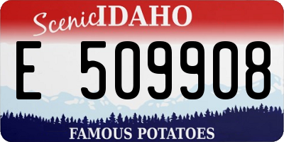 ID license plate E509908