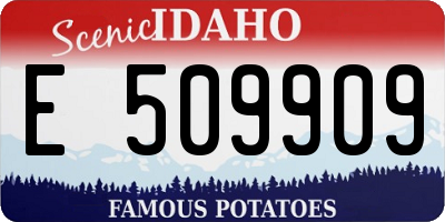 ID license plate E509909