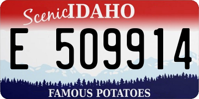 ID license plate E509914