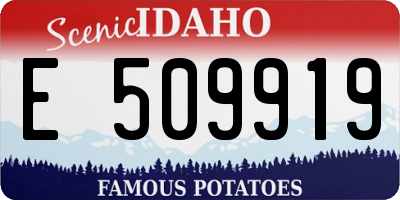 ID license plate E509919