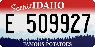 ID license plate E509927