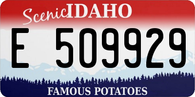 ID license plate E509929