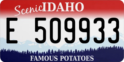 ID license plate E509933