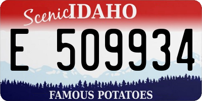ID license plate E509934