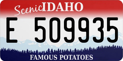 ID license plate E509935