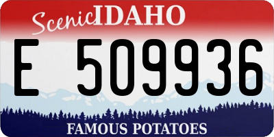 ID license plate E509936