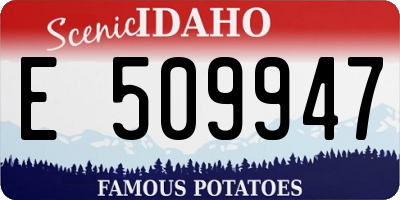 ID license plate E509947