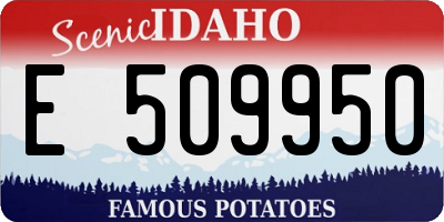 ID license plate E509950