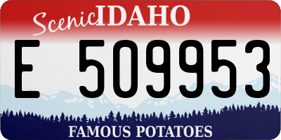 ID license plate E509953
