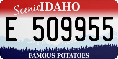 ID license plate E509955