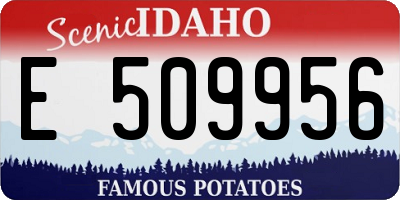 ID license plate E509956