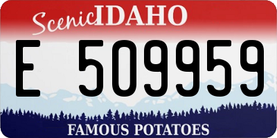 ID license plate E509959
