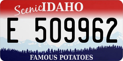 ID license plate E509962