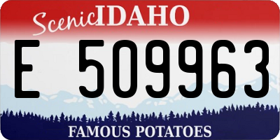 ID license plate E509963