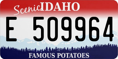 ID license plate E509964