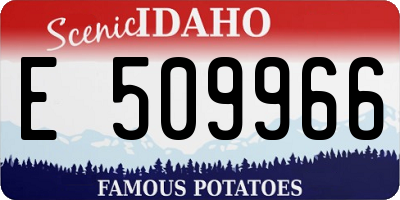 ID license plate E509966