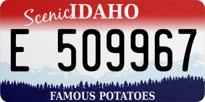 ID license plate E509967
