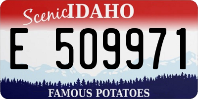 ID license plate E509971