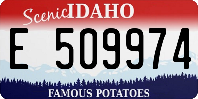 ID license plate E509974