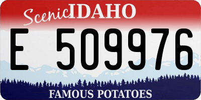 ID license plate E509976
