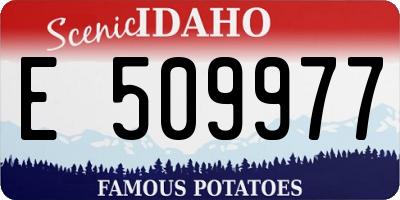 ID license plate E509977