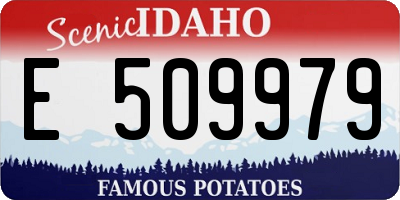 ID license plate E509979