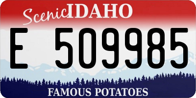 ID license plate E509985