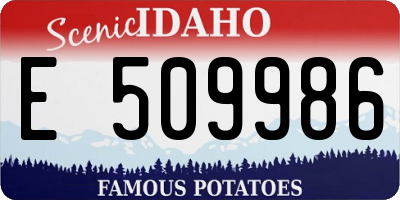 ID license plate E509986