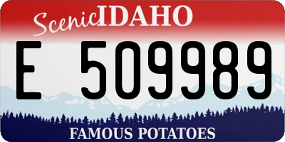 ID license plate E509989