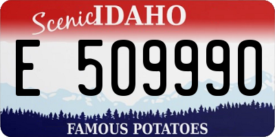 ID license plate E509990