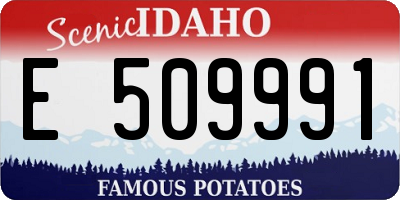 ID license plate E509991