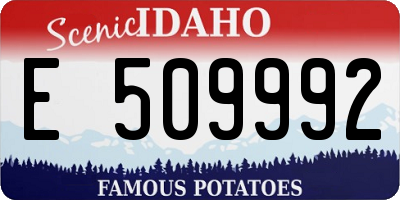 ID license plate E509992