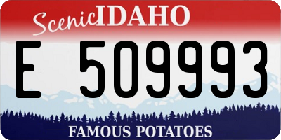 ID license plate E509993